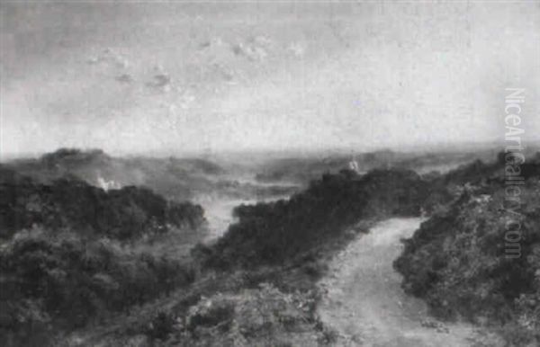 Near Lidney, The Forest Of Dean - view 1