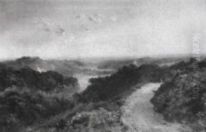 Near Lidney, The Forest Of Dean by Edmund John Niemann