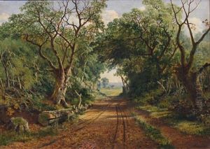 A Wooded Country Lane