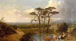 Cattle Watering, Near Knole, Kent