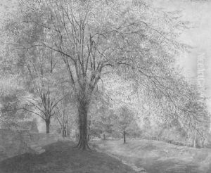 A Path Through The Elms by John Henry Niemeyer