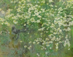 Coucas Dans Champ De Marguerites by Jean Boe Niestle