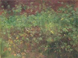 Grasmucke In Einer Brombeerhecke by Jean Boe Niestle