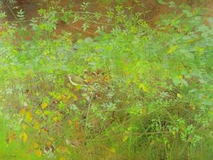 Grasmucke In Einer Brombeerhecke by Jean Boe Niestle