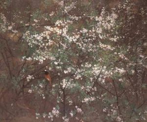 Gartenrotschwanzpaar In Bluhendem Weissdorn by Jean Boe Niestle