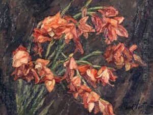 Gladioli Gladioli