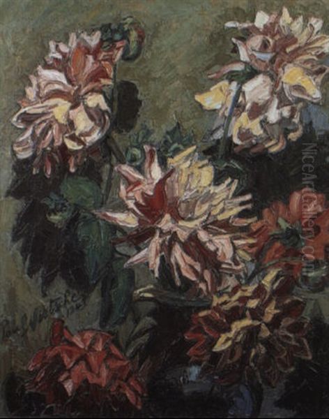 Dahlias - view 1