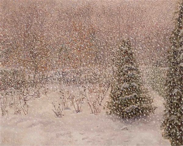 Snow - view 1