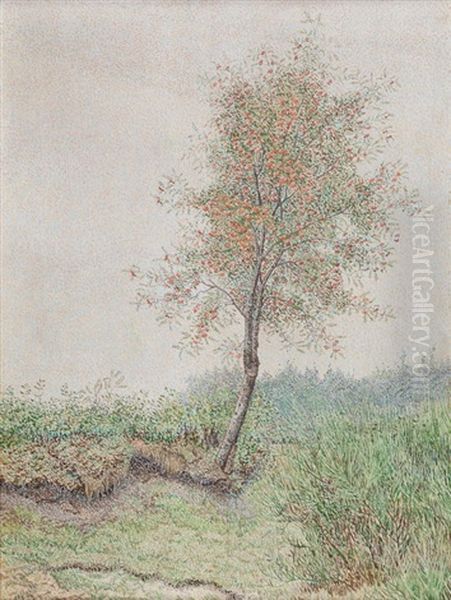 Lentebloesem - view 1