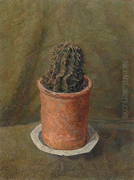 A Cactus In A Pot - view 1