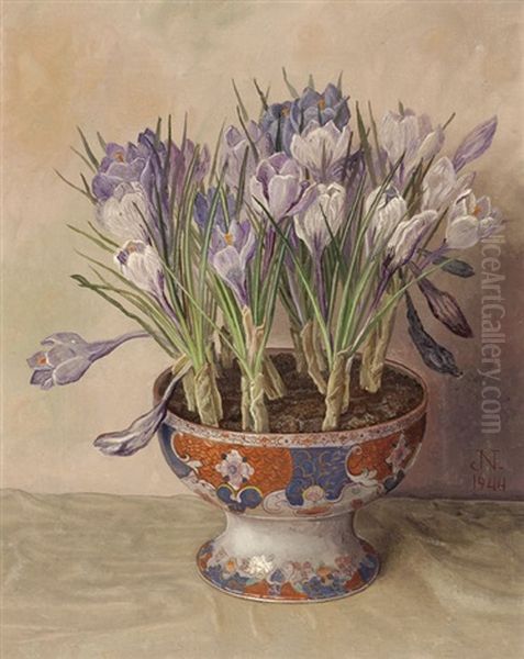 Crocuses - view 1