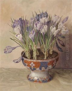 Crocuses by Jakob Nieweg