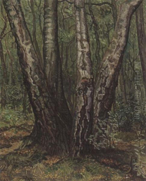 Forest Landscape - view 1
