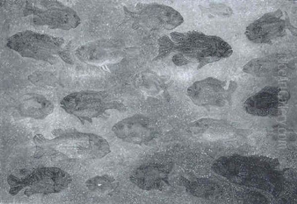 A Shoal Of Fish - view 1