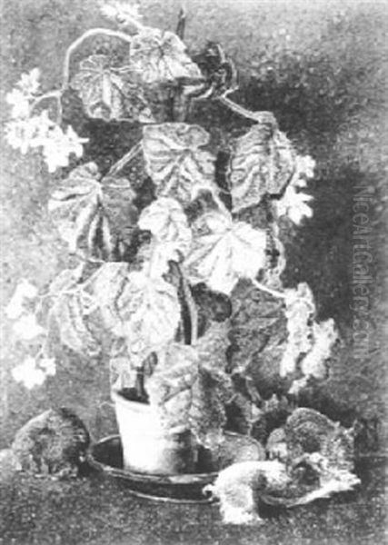 Still Life With Geranium - view 1