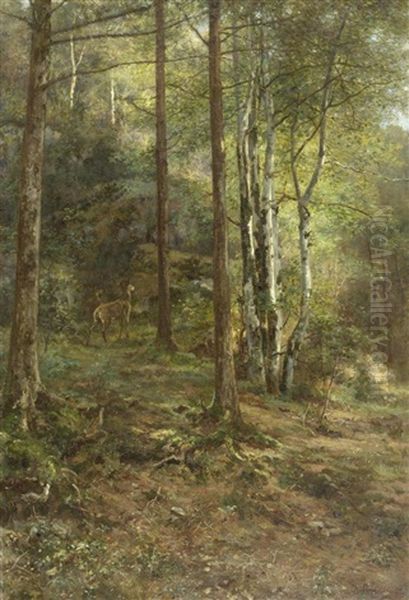 Waldlandschaft Mit Reh - view 1