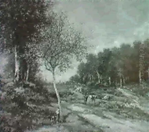 Waldlandschaft - view 1