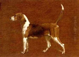 "wallflower", A Hound From The North Warwickshire Hunt (+ A Fox, 1915; 2 Works) by Basil J. Nightingale