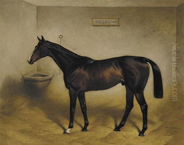 The Racehorse "abbeywood" In A Stable - view 1