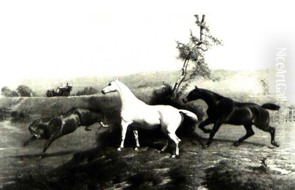 The Gentry's New Horsepower - view 1