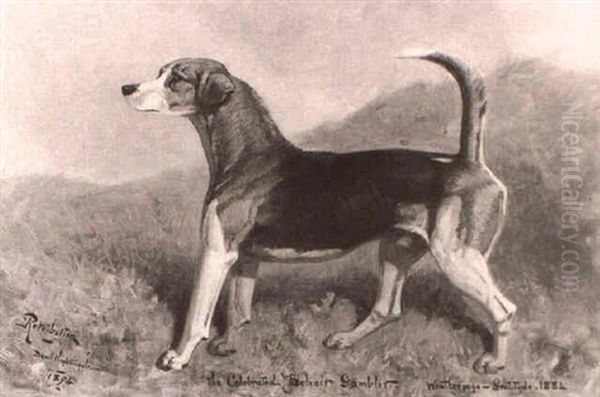 A Portrait Of The Foxhound, `the Celebrated Belvoir Gambler' - view 1