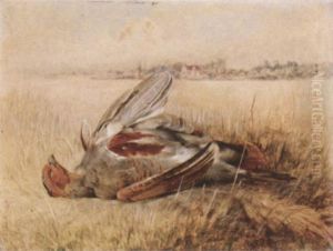 A Partridge In A Field A Partridge In A Field