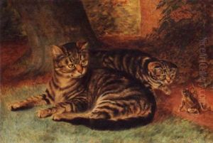 Curiosity by Robert Nightingale