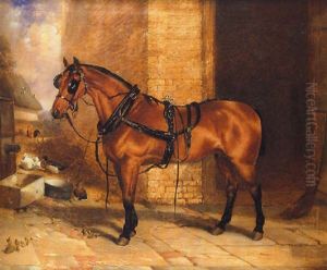 "big Red" In Harness