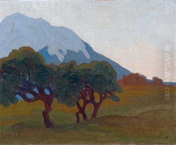 Landschaft Mit Baumen Im Hintergrund Ein Blauer Berg - view 1
