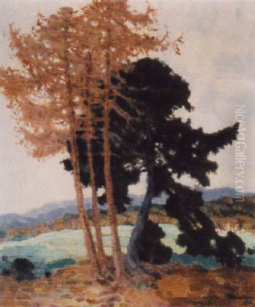 Landschaft Mit Baumgruppe - view 1