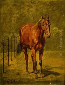 Horse by Arthur Johann Severin Nikutovski