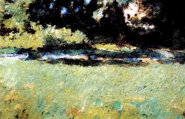 Paysage - view 1