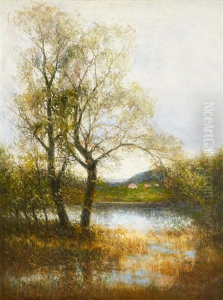 Varlandskap - view 1