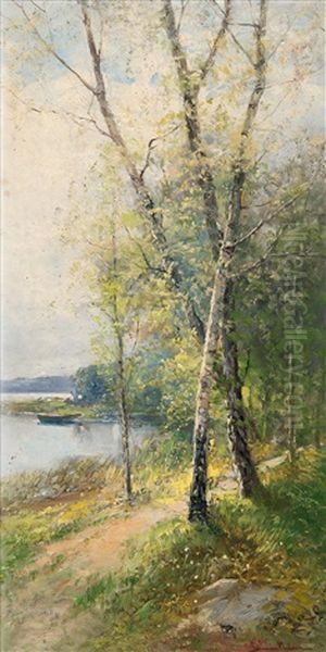 Birch Trees In Early Summer - view 1
