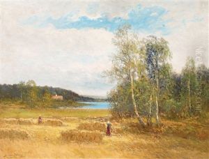 Motiv Fran Kolmarden