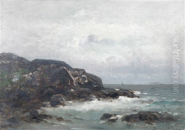 Branningar Vid Kust - view 1