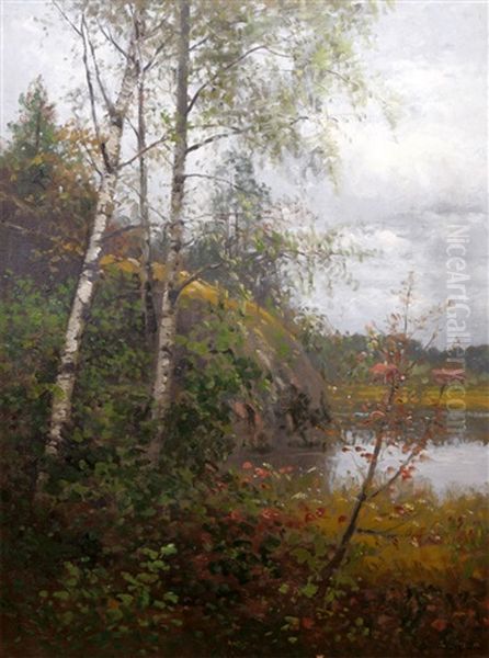 Insjolandskap Med Bjorkar - view 1