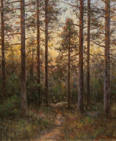 Skogslandskap - view 1