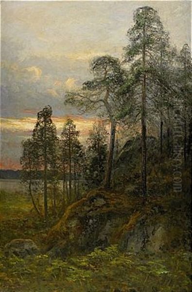 Afton Efter Regn - Motiv Fran Kolmarden - view 1