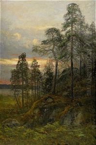 Afton Efter Regn - Motiv Fran Kolmarden Afton Efter Regn - Motiv Fran Kolmarden