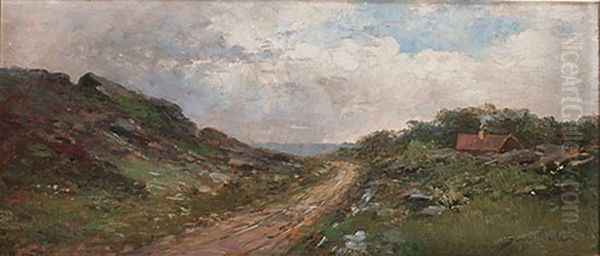 Sommarlandskap - view 1
