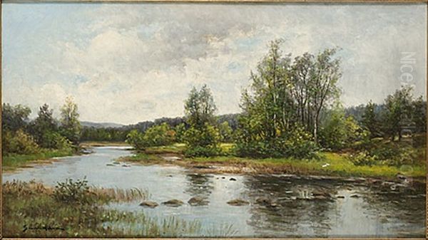 Sommarlandskap - view 1
