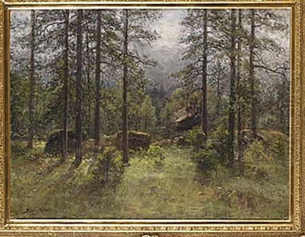 Skogsglanta - view 1