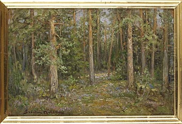 Skogsglanta - view 1