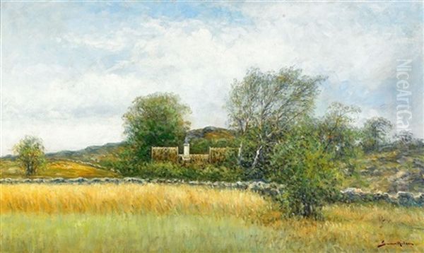 Sommarlandskap Med Gard - Halland - view 1