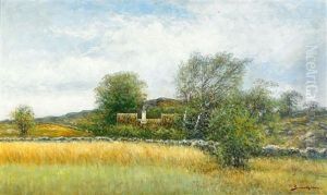 Sommarlandskap Med Gard - Halland Sommarlandskap Med Gard - Halland