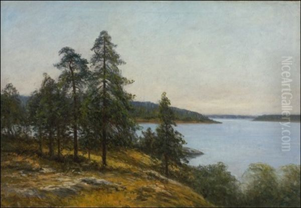 Merimaisema - view 1