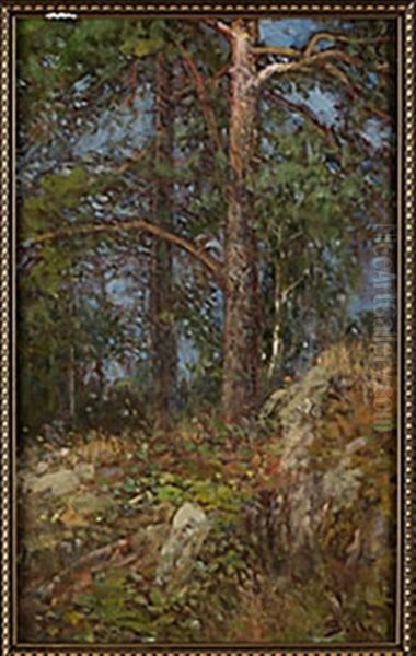 Sobelyst Skogsglanta - view 1