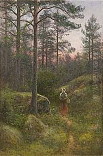 Afton, Skogsstig I Kolmarden - view 1