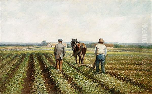 Varplojning - view 1